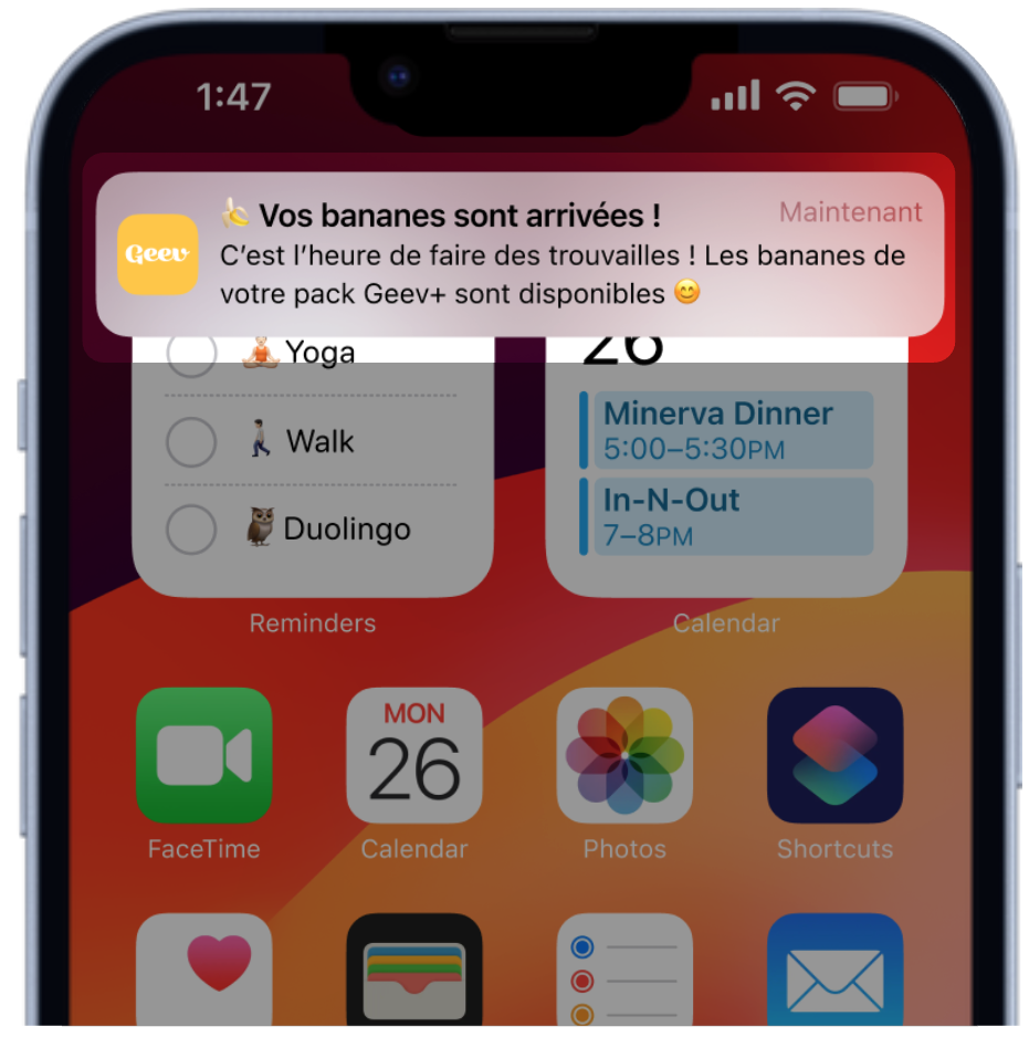 Bananes - Recharge bananes Geev+.png